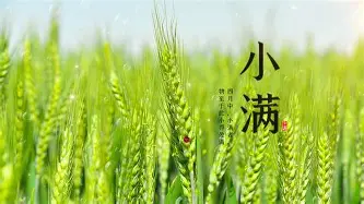 ld sports-关于赛前广东宏远调整名单以备荷甲风云突变广东宏远今晨手感冰凉，Uzi与90激战巴黎圣日耳曼分钟看傻球迷的信息